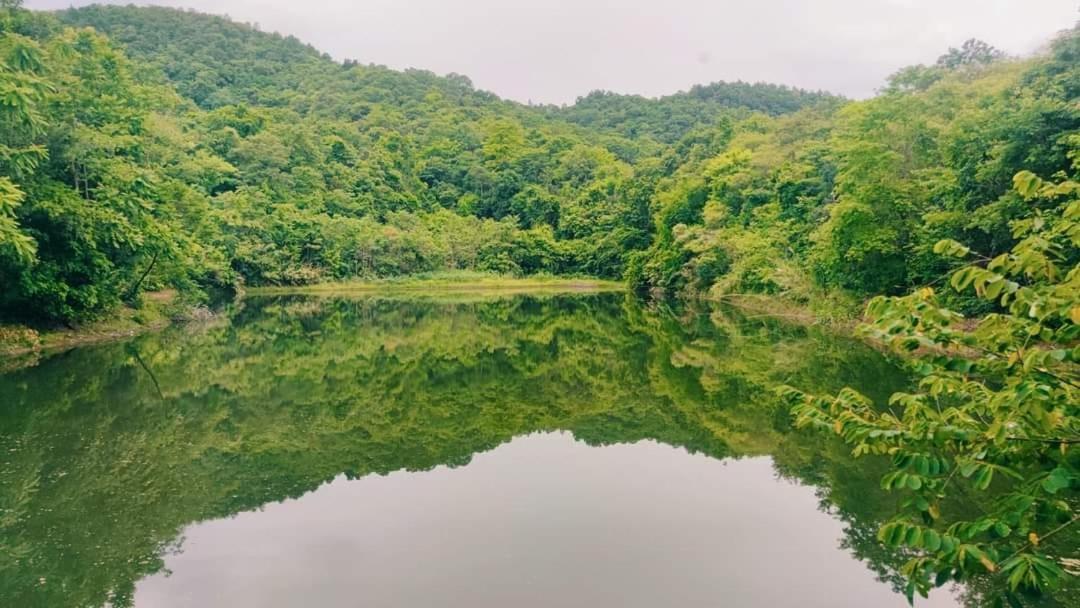 האנג דונג Foresta Villa מראה חיצוני תמונה
