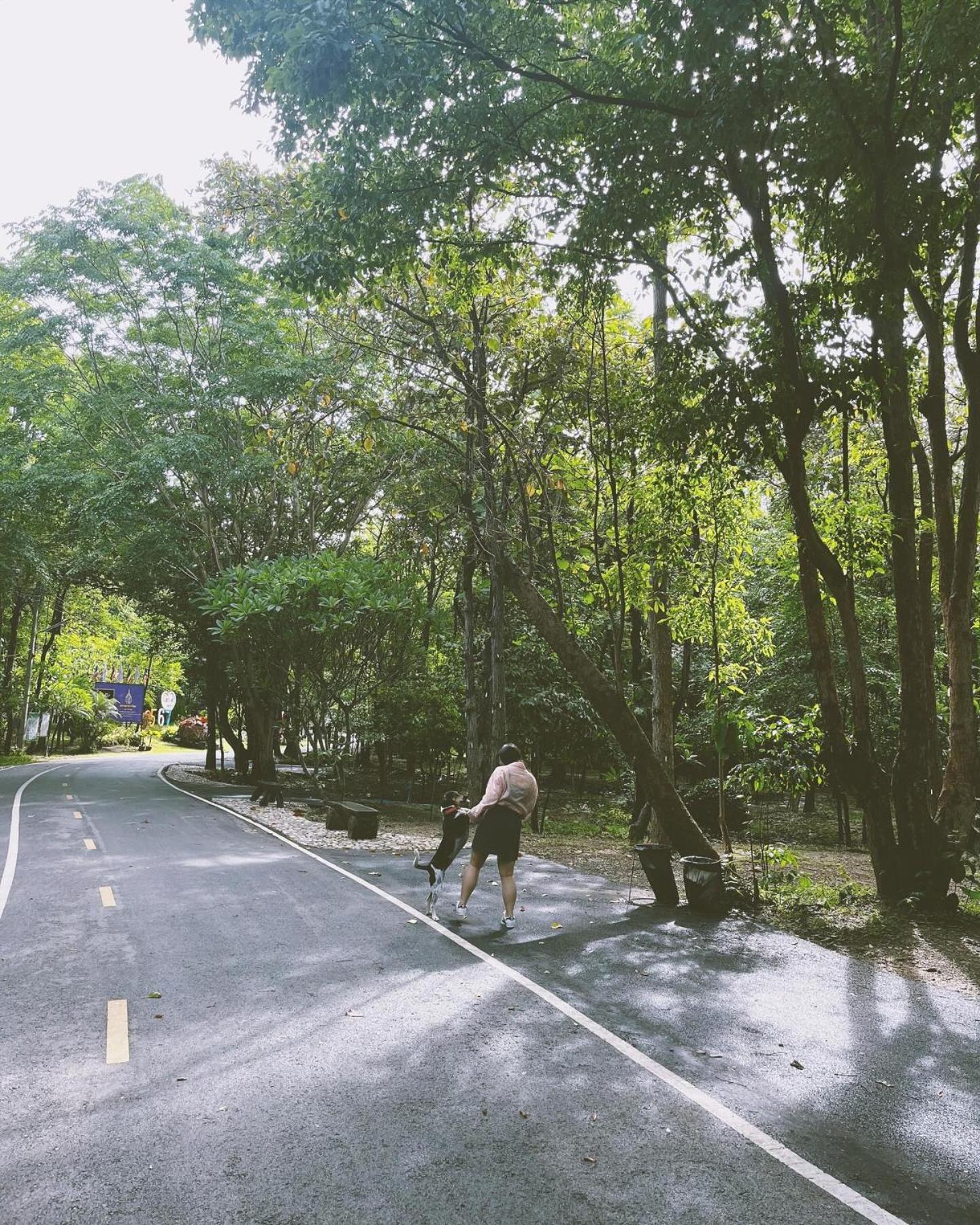 האנג דונג Foresta Villa מראה חיצוני תמונה