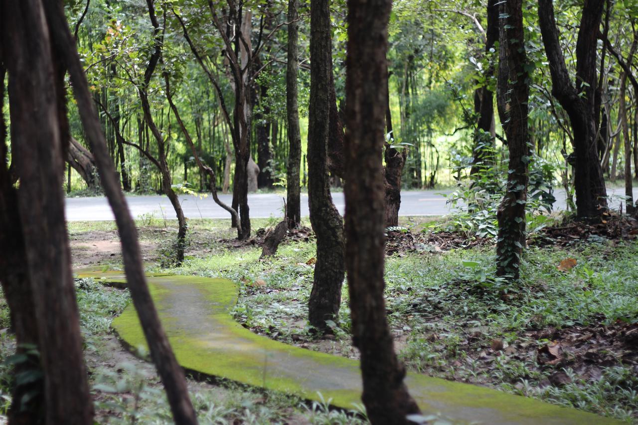 האנג דונג Foresta Villa מראה חיצוני תמונה